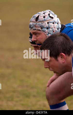 Les joueurs de rugby haslemere huddle ensemble pour une mêlée dans leur match contre merton, Haslemere, Surrey, UK. Banque D'Images