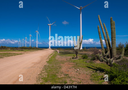 Éoliennes et cactus par chemin de terre, Aruba, Lesser Antilles, Caribbean Banque D'Images