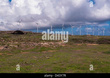 Rangée d'éoliennes, Aruba, Lesser Antilles, Caribbean Banque D'Images