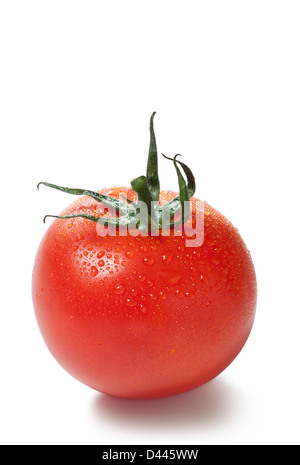 Tomates avec de la rosée sur un fond blanc, cut out Banque D'Images