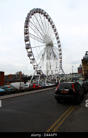 Leeds OWL, la roue d'observation Leeds Banque D'Images