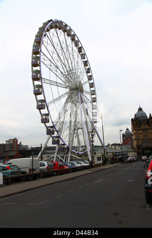 Leeds OWL, la roue d'observation Leeds Banque D'Images