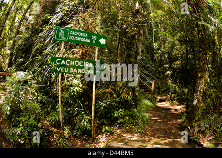 Vue à l'intérieur du parc national d'Itatiaia (Parque Nacional do Itatiaia) au Brésil. Le premier parc national au Brésil. Banque D'Images