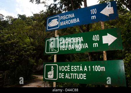 Vue à l'intérieur du parc national d'Itatiaia (Parque Nacional do Itatiaia) au Brésil. Le premier parc national au Brésil. Banque D'Images