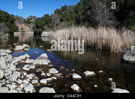 Avis de Malibu Creek à Malibu Creek State Park en Californie du Sud comme vu de trail à la piscine Rock Banque D'Images