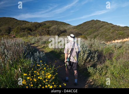 Randonneur passe wildflowers sur Canyon View Trail à Zuma Canyon dans les montagnes de Santa Monica Banque D'Images