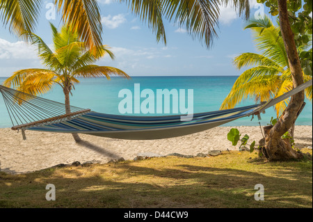 Hamac sur une plage des Caraïbes, St Thomas, Îles Vierges Américaines Banque D'Images