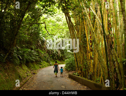 Mixed Race mother and child walking on road in jungle Banque D'Images