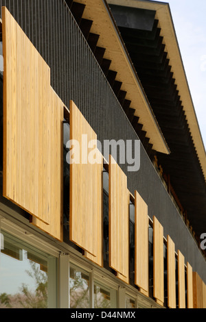 Teikyo University Elementary School, Tokyo, Japon. Architecte : Kengo Kuma, 2012. Banque D'Images