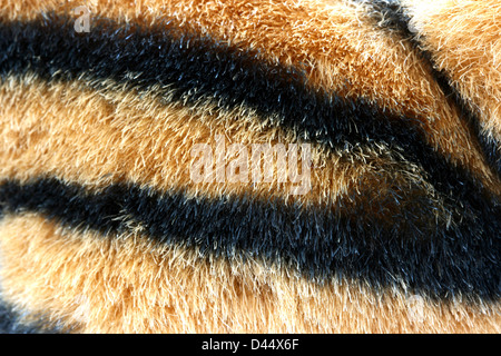 La texture de la fourrure tigre artificielle Vue détaillée Banque D'Images