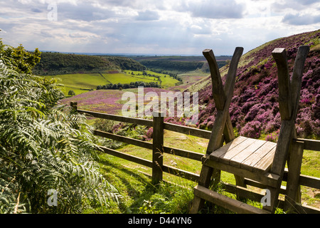 Stile donnant sur le trou de Horcum, North Yorkshire dans couleurs d'été Banque D'Images