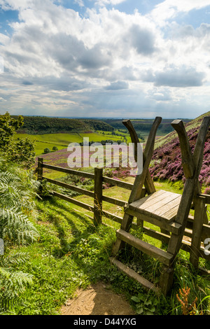 Stile donnant sur le trou de Horcum, North Yorkshire dans couleurs d'été Banque D'Images