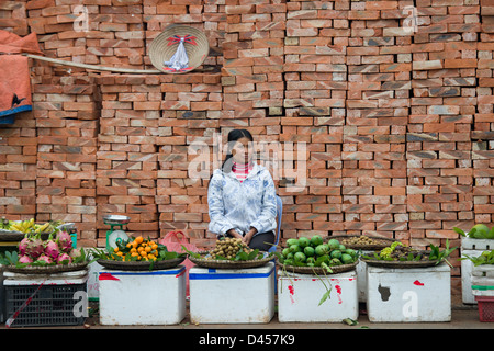 Femme vendant des légumes en face d'une pile de briques, à un marché de rue à Hanoi, Vietnam Banque D'Images