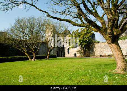 Ruines de l'ancien Palais épiscopal, Llandaff, Cardiff, pays de Galles. Banque D'Images