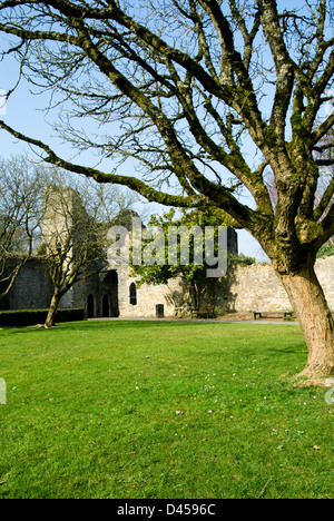 Ruines de l'ancien Palais épiscopal, Llandaff, Cardiff, pays de Galles. Banque D'Images