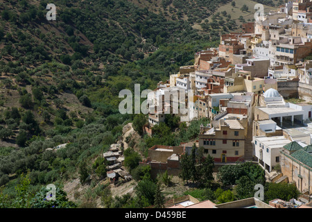 À la recherche sur la ville et les oliviers sur les collines environnantes, Moulay Idriss, Maroc Banque D'Images