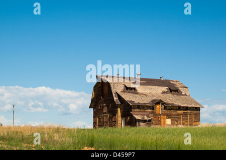 Vieille grange abandonnée sur le ranch en Californie. Banque D'Images