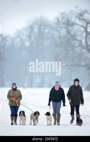 Trois jeunes gens l'exercice de leurs chiens dans le parc de badminton, Gloucestershire UK Banque D'Images