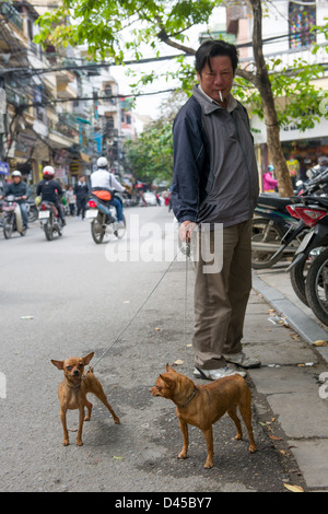 Homme marchant vietnamiens deux petits chiens dans une rue animée de Hanoi, Vietnam Banque D'Images