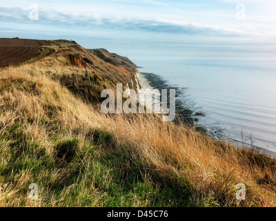 Vue depuis les falaises près de Flamborough Head, Bridlington, East Yorkshire Banque D'Images