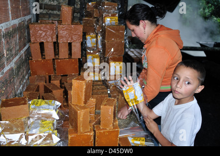 La canne à sucre panela ( ) à ISNOS San Agustin ( ). Département de Huila. Colombie Banque D'Images