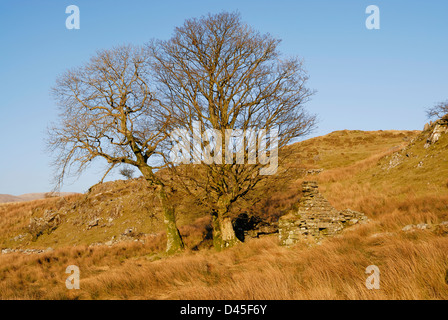 L'abandon en chalet isolé, Snowdonia au nord du Pays de Galles. Banque D'Images