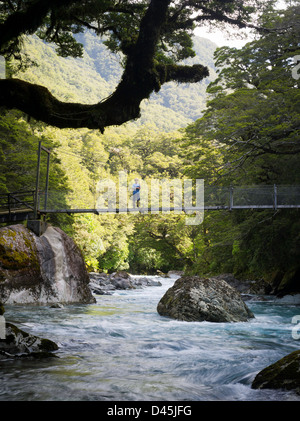 Un jeune garçon traverse la Hollyford River sur un pont suspendu, le lac Marian Piste, Parc National de Fiordland, Southland, New Zeala Banque D'Images