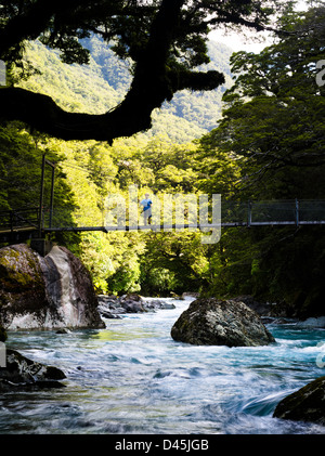 Un jeune garçon traverse la Hollyford River sur un pont suspendu, le lac Marian Piste, Parc National de Fiordland, Southland, New Zeala Banque D'Images