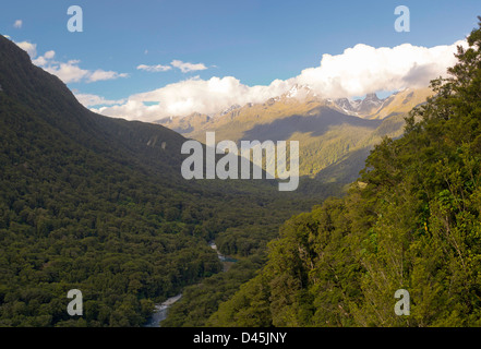 Dans la vallée de la rivière Hollyford juste à l'Est de l'Homer Tunnel, l'autoroute 94, sur la route de Te Anau à Milford Sou Banque D'Images
