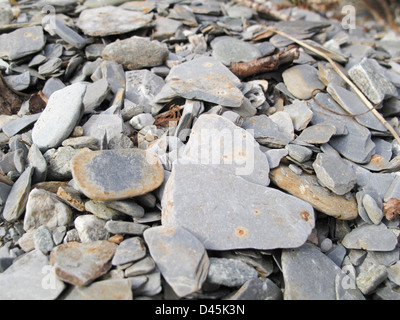 Sur une plage de galets pierres plates Banque D'Images