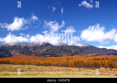 Mt. Yatsugatake avec mélèze japonais forêt en automne, Nagano, Japon Banque D'Images