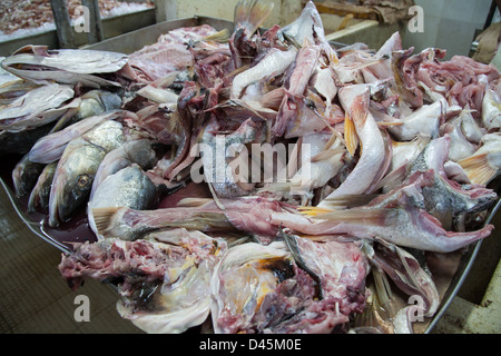 Tas de poisson tripes et d'os pour faire de la soupe avec la vente sur les marché de poisson de la ville de Panama. Banque D'Images