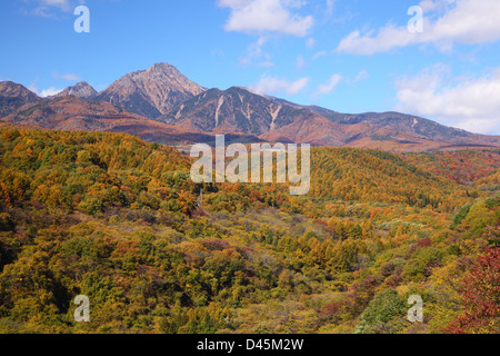 Mt. Yatsugatake de couleurs d'automne, Yamanashi, Japon Banque D'Images