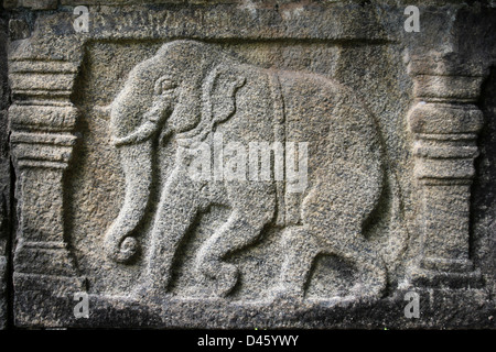 Frise d'éléphants sur le roi Parakramabahu's, d'une salle d'audience dans le Palais Royal Group, Polonnaruwa, Sri Lanka Banque D'Images