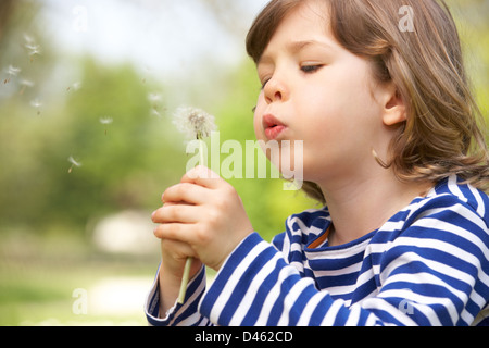 Jeune garçon assis dans le champ Blowing Dandelion Banque D'Images