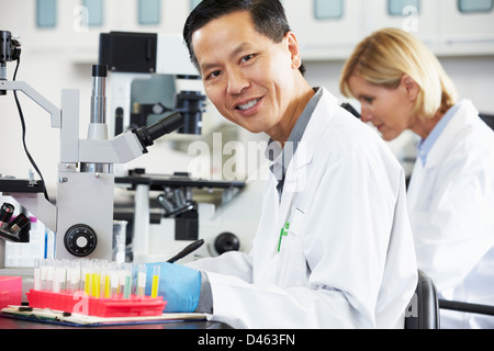 Les scientifiques masculins et féminins à l'aide de microscopes en laboratoire Banque D'Images