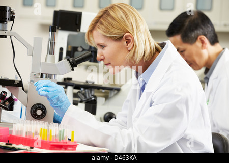 Les scientifiques masculins et féminins à l'aide de microscopes en laboratoire Banque D'Images