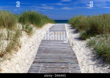 Chemin de promenade à travers les dunes de sable de la plage Banque D'Images
