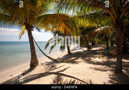 Le Inn at Robert's Grove ; Placencia, Belize Banque D'Images