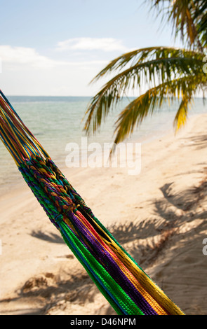 Le Inn at Robert's Grove ; Placencia, Belize Banque D'Images