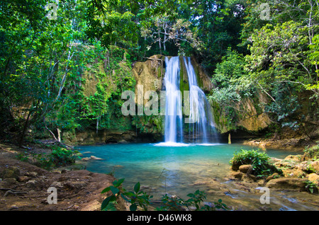 Cascade dans une profonde forêt verte Banque D'Images