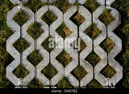 De l'herbe entre les pierres, pavage de bloc Banque D'Images