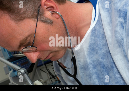 Un médecin de l'exécution d'une endoscopie. Banque D'Images