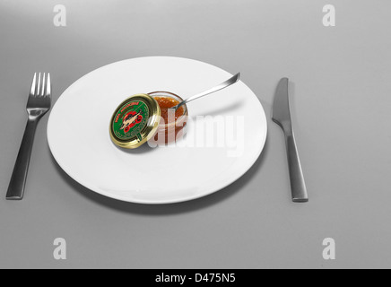 Pot de caviar sur plaque blanche avec fourchette et couteau fond gris Banque D'Images