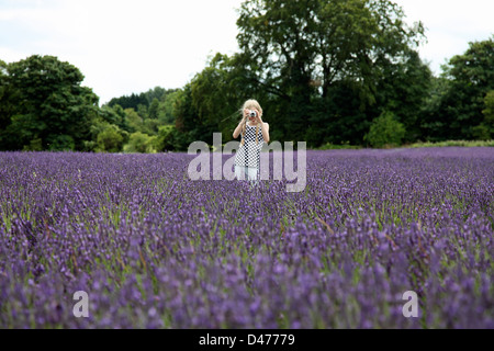 Jeune fille, debout dans un champ de lavande, de prendre une photo du photographe Banque D'Images