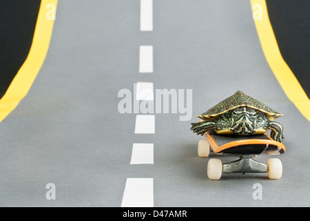 Turtle on skateboard Banque D'Images