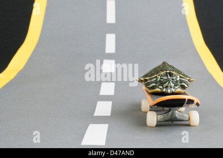 Turtle on skateboard Banque D'Images