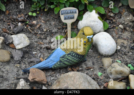 (ILLUSTRATION - FICHIER) une illustration d'archive datée du 18 juin 2012 montre la tombe de la Budgie Muckelchen au cimetière d'animaux 'Tierhimmel' (éclairé : ciel d'animaux) à Teltow, en Allemagne. Fotoarchiv für Zeitgeschichte SERVICE DE FIL Banque D'Images