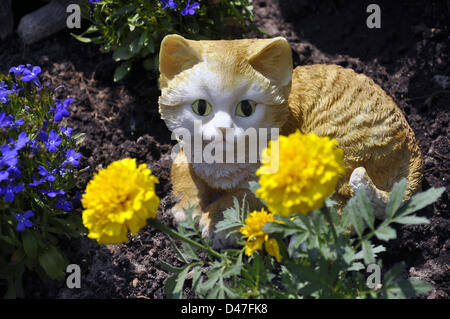 (ILLUSTRATION - FICHIER) une illustration d'archive datée du 18 juin 2012 montre la tombe d'un chat au cimetière d'animaux 'Tierhimmel' (éclairé : ciel d'animaux) à Teltow, en Allemagne. Fotoarchiv für Zeitgeschichte SERVICE DE FIL Banque D'Images