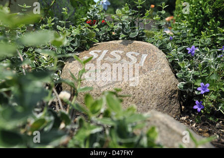 (ILLUSTRATION - FICHIER) une illustration d'archive datée du 18 juin 2012 montre un readinig Sissi de greavstone au cimetière d'animaux 'Tierhimmel' (éclairé: Ciel d'animaux) à Teltow, en Allemagne. Fotoarchiv für Zeitgeschichte SERVICE DE FIL Banque D'Images